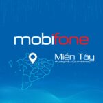 CÔNG TY DỊCH VỤ MOBIFONE KHU VỰC 9 - CHI NHÁNH TỔNG CÔNG TY VIỄN THÔNG MOBIFONE