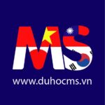 CÔNG TY THƯƠNG MẠI DỊCH VỤ MS