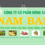 CÔNG TY CỔ PHẦN NÔNG SẢN NAM BAN