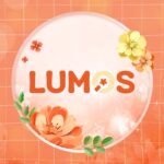 LUMOS - Bánh kem không truyền thống (Tiệm bánh Lumos)